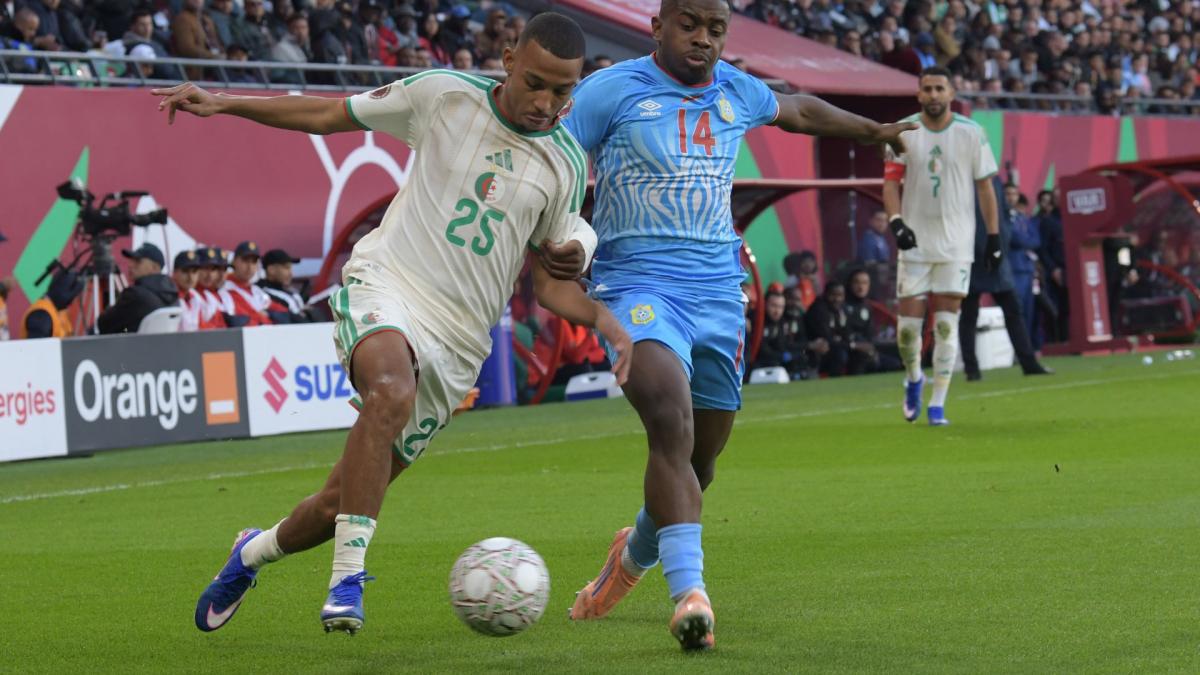 Rafik Belghali, Algérie : “on peut aller loin à la Coupe du monde”
