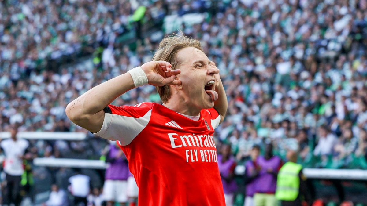 Benfica : Andreas Schjelderup, la pépite norvégienne qui va secouer le mercato estival !