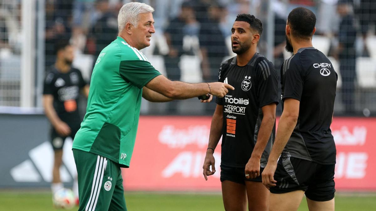 Coupe du Monde 2026, Algérie : Vladimir Petkovic n’a pas prévu de plan anti-Messi face à l’Argentine